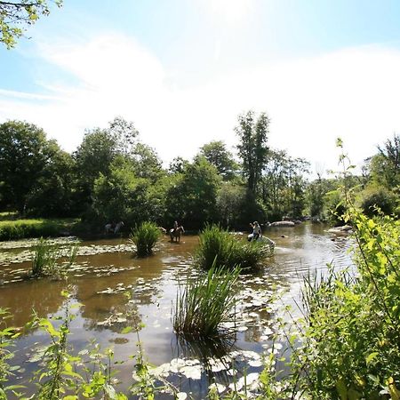 Logis De L'Aubonniere Hotel Chaille-sous-les-Ormeaux ภายนอก รูปภาพ