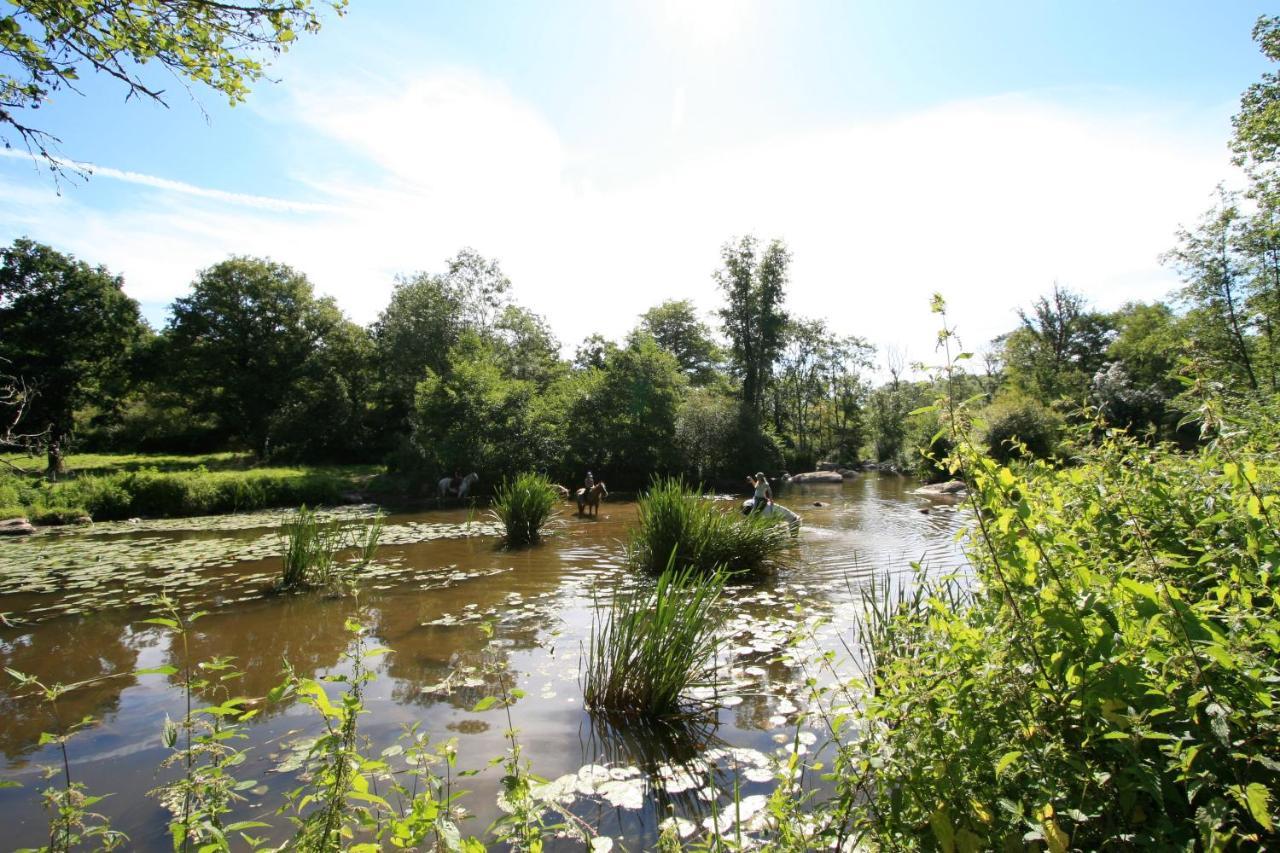 Logis De L'Aubonniere Hotel Chaille-sous-les-Ormeaux ภายนอก รูปภาพ
